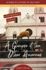 A Glimpse of the Other Americas: A Backpacker's Memoir By Judi Lifton Cover Image