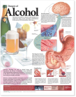 Dangers of Alcohol Anatomical Chart Cover Image