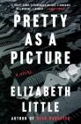 Pretty as a Picture: A Novel By Elizabeth Little Cover Image
