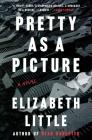 Pretty as a Picture: A Novel Cover Image