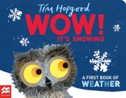 WOW! It's Snowing: A First Book of Weather Cover Image