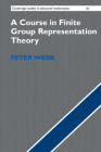 A Course in Finite Group Representation Theory (Cambridge Studies in Advanced Mathematics) By Peter Webb Cover Image
