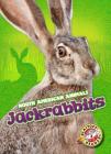 Jackrabbits (North American Animals) By Christina Leaf Cover Image