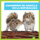 Cachorros de Ardilla En La Naturaleza (Squirrel Kits in the Wild) Cover Image