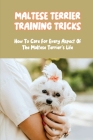 Maltese Terrier Training Tricks: How To Care For Every Aspect Of The Maltese Terrier's Life: A Complete Guide To Maltese Terrier Cover Image