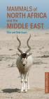 Mammals of North Africa and the Middle East (Pocket Photo Guides) By Chris Stuart, Tilde Stuart Cover Image