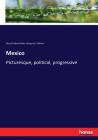 Mexico: Picturesque, political, progressive By Mary Elizabeth Blake, Margaret F. Sullivan Cover Image