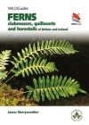 Britain's Ferns: A Field Guide to the Clubmosses, Quillworts, Horsetails and Ferns of Great Britain and Ireland Cover Image