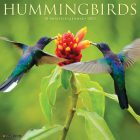 Hummingbirds 2023 Wall Calendar By Willow Creek Press Cover Image
