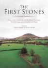 The First Stones: Penywyrlod, Gwernvale and the Black Mountains Neolithic Long Cairns of South-East Wales By William Britnell (Editor), Alasdair Whittle (Editor) Cover Image