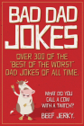 Bad Dad Jokes Paperback Gift Book By Willow Creek Press Cover Image
