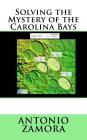 Solving the Mystery of the Carolina Bays Cover Image
