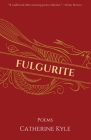Fulgurite Cover Image