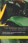 Three Buddhist Treasures in Kandy, Sri Lanka: Embekke Devale, Gadaladeniya Raja Maha Vihara and Lankathilaka Vihara By Becky Czlapinski Cover Image