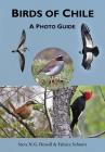Birds of Chile: A Photo Guide By Steve N. G. Howell, Fabrice Schmitt Cover Image