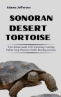 Sonoran Desert Tortoise Cover Image