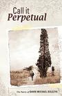 Call It Perpetual By David Michael Belczyk, Ryan Alvis (Designed by) Cover Image