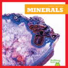Minerals By Rebecca Pettiford, N/A (Illustrator) Cover Image