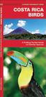 Costa Rica Birds: A Folding Pocket Guide to Familiar Species (Pocket Naturalist Guide) By James Kavanagh, Waterford Press, Raymond Leung (Illustrator) Cover Image