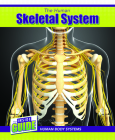 The Human Skeletal System By Cassie M. Lawton Cover Image