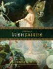 A History of Irish Fairies By Carolyn White Cover Image