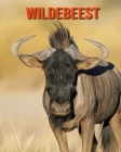 Wildebeest: Amazing Facts about Wildebeest By Devin Haines Cover Image