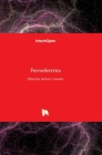 Ferroelectrics By Indrani Coondoo (Editor) Cover Image
