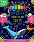 ColorWorld: Illumination Chalk Art Cover Image