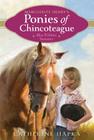 Blue Ribbon Summer (Marguerite Henry's Ponies of Chincoteague #2) By Catherine Hapka Cover Image