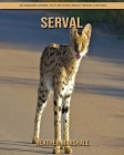 Serval: An Amazing Animal Picture Book about Serval for Kids Cover Image