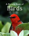 A Picture Book of Birds: A Beautiful Picture Book for Seniors With Alzheimer's or Dementia. A Perfect Gift For Bird Lovers! By A Bee's Life Press Cover Image