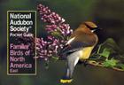 National Audubon Society Pocket Guide to Familiar Birds: Eastern Region: Eastern (National Audubon Society Pocket Guides) Cover Image