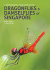 A Photographic Field Guide to the Dragonflies & Damselflies of Singapore Cover Image