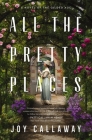 All the Pretty Places: A Novel of the Gilded Age By Joy Callaway Cover Image