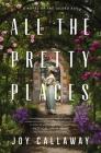 All the Pretty Places: A Novel of the Gilded Age Cover Image