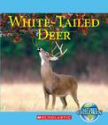 White-Tailed Deer (Nature's Children (Children's Press Paperback)) By Katie Marsico Cover Image