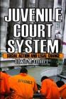 The Juvenile Court System: Social Action and Legal Change Cover Image