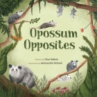 Opossum Opposites By Gina E. Gallois, Aleksandra Bobrek (Illustrator) Cover Image