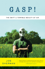 Gasp!: The Swift and Terrible Beauty of Air By Joe Sherman Cover Image