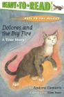 Dolores and the Big Fire: Dolores and the Big Fire (Ready-to-Read Level 1) (Pets to the Rescue) By Andrew Clements, Ellen Beier (Illustrator) Cover Image
