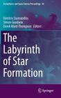 The Labyrinth of Star Formation (Astrophysics and Space Science Proceedings #36) By Dimitris Stamatellos (Editor), Simon Goodwin (Editor), Derek Ward-Thompson (Editor) Cover Image