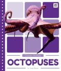 Octopuses By Emma Bassier Cover Image