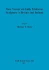 New Voices on Early Medieval Sculpture in Britain and Ireland (Bar #542) By Michael F. Reed (Editor) Cover Image