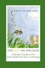 Sunlight on the Grass: A Student Guide to the AQA Short Story Anthology By David Wheeler, Natalie Twigg (Illustrator), Natalie Twigg Cover Image