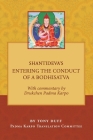 Shantideva's Entering the Conduct of a Bodhisatva Cover Image