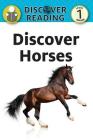 Discover Horses: Level 1 Reader By Katrnia Streza Cover Image