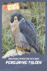Unbelievable Pictures and Facts About Peregrine Falcons By Olivia Greenwood Cover Image