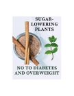 Hypoglycemic Plants: Sugar-Lowering Plants - No To Diabetes And Overweight Cover Image