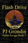 Flash Drive By Pj Grondin Cover Image