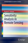 Sensitivity Analysis in Remote Sensing (Springerbriefs in Earth Sciences) By Eugene A. Ustinov Cover Image